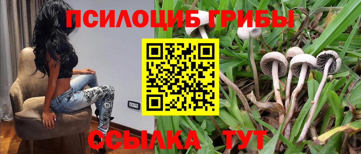 Псилоцибиновые грибы MAGIC MUSHROOMS Воронеж