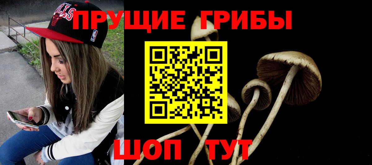 Воронеж  Псилоцибиновые грибы прущие грибы  Псилоцибиновые грибы мицелий  Вход с VPN 